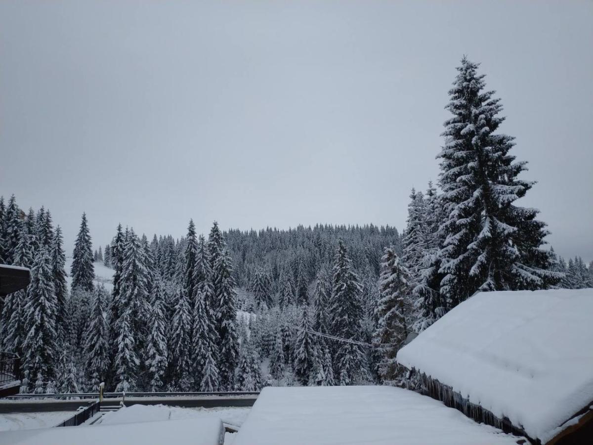 Садиба Mishel Jablunycja Exteriér fotografie